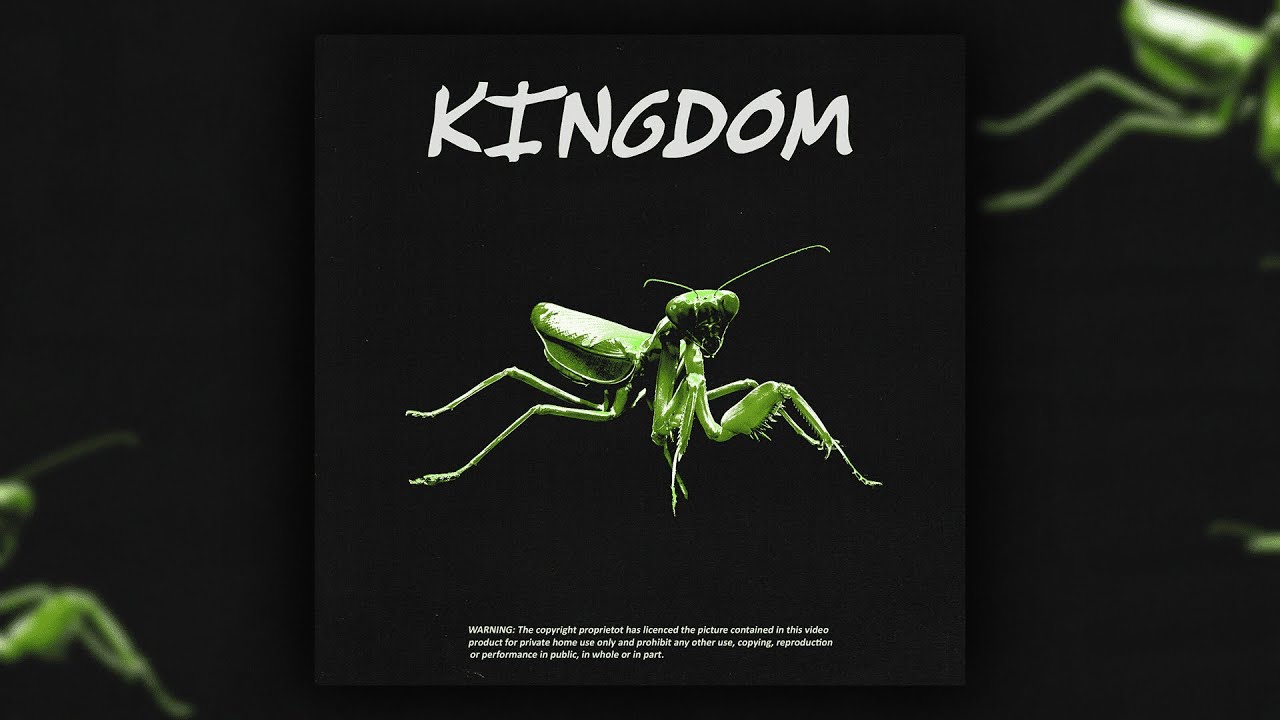 [FREE][15+] UK Drill Loop/Sample Kit - Kingdom (Vocal, Chopped, Dark, SR, Suspect, Russ Millions)