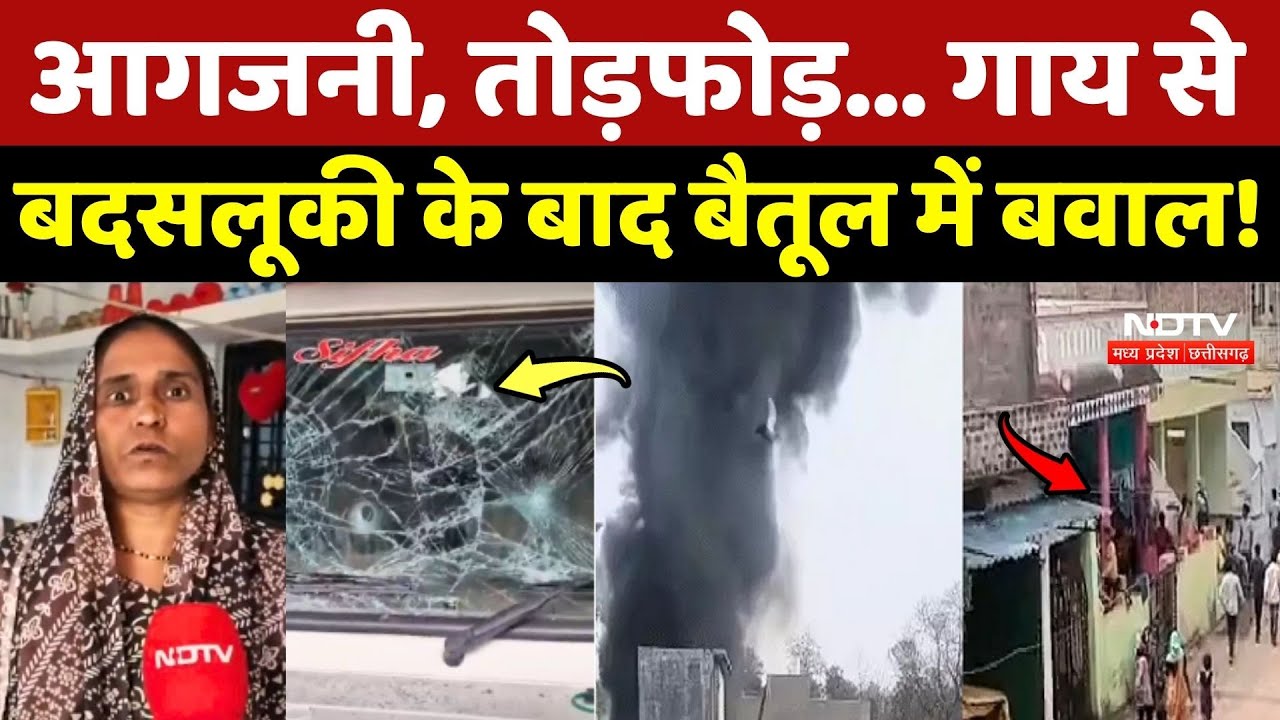 Betul News: आगजनी, तोड़फोड़... गाय से बदसलूकी के बाद बैतूल में बवाल! Muslim | Hindu Sangathan