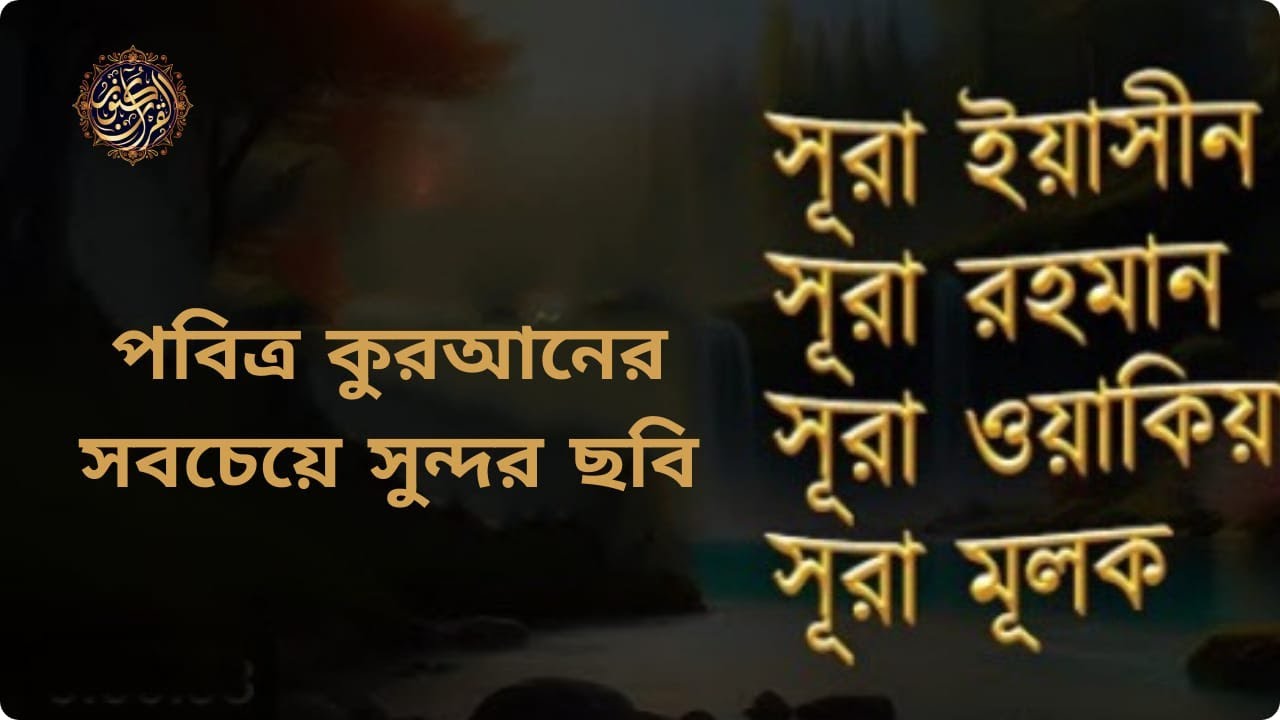 সূরা আর রহমান, সূরা ইয়াসিন, সূরা ওয়াকিয়া, সূরা মুলক-  Best Quran Recitation by Alaa Aqel