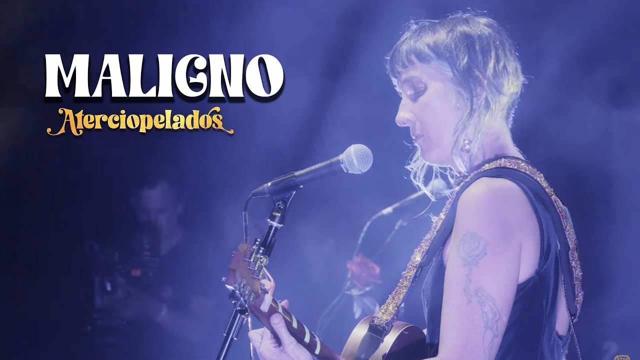 Aterciopelados - Maligno (En Vivo)