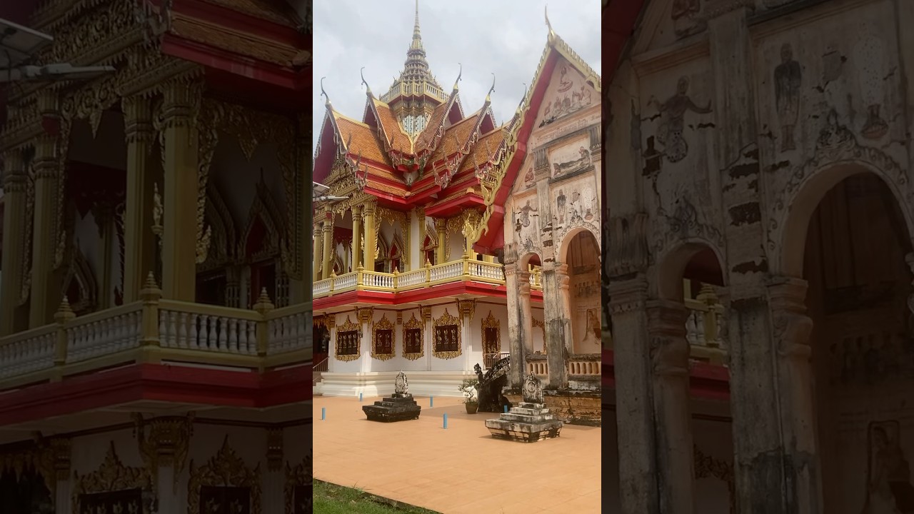 Buddhist Temple in North Thailand 🇹🇭 #buddhisttemple #thailandtravel #buddhism #buddhistheritage