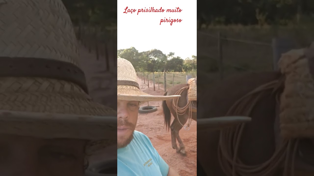 Vc anda com o la&ccedil;o prisilhado na chincha???#fazenda #dicasdocampo #agro #rozeeta