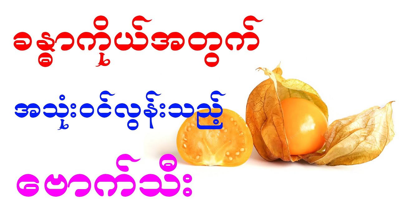 ခန္ဓာကိုယ်အတွက် အသုံးဝင်လွန်းသည့် ဗောက်သီး၊ health benefit of cape gooseberry fruit