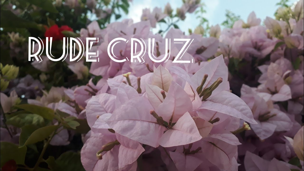 📖Jardim de Louvor 7-(RUDE CRUZ)🙏🏻🙏🏻