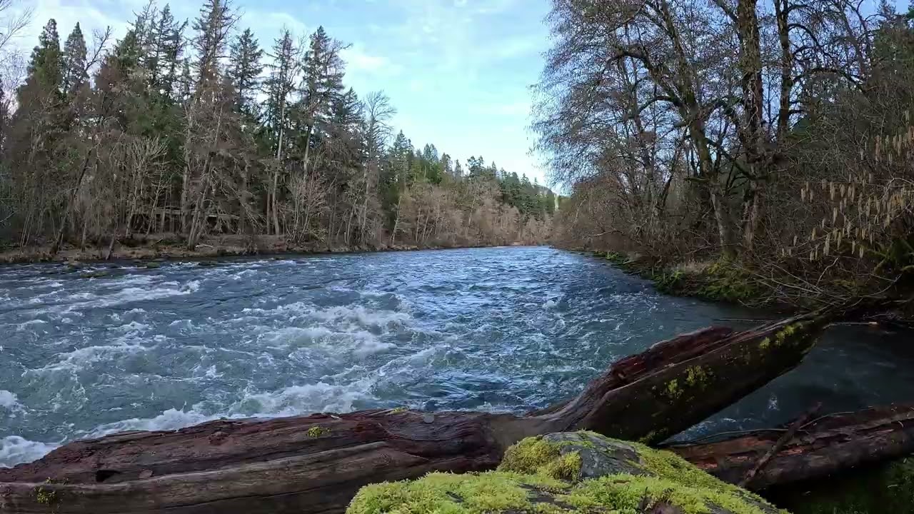 Refresh And Relax To The Middle Fork Willamette River Oregon