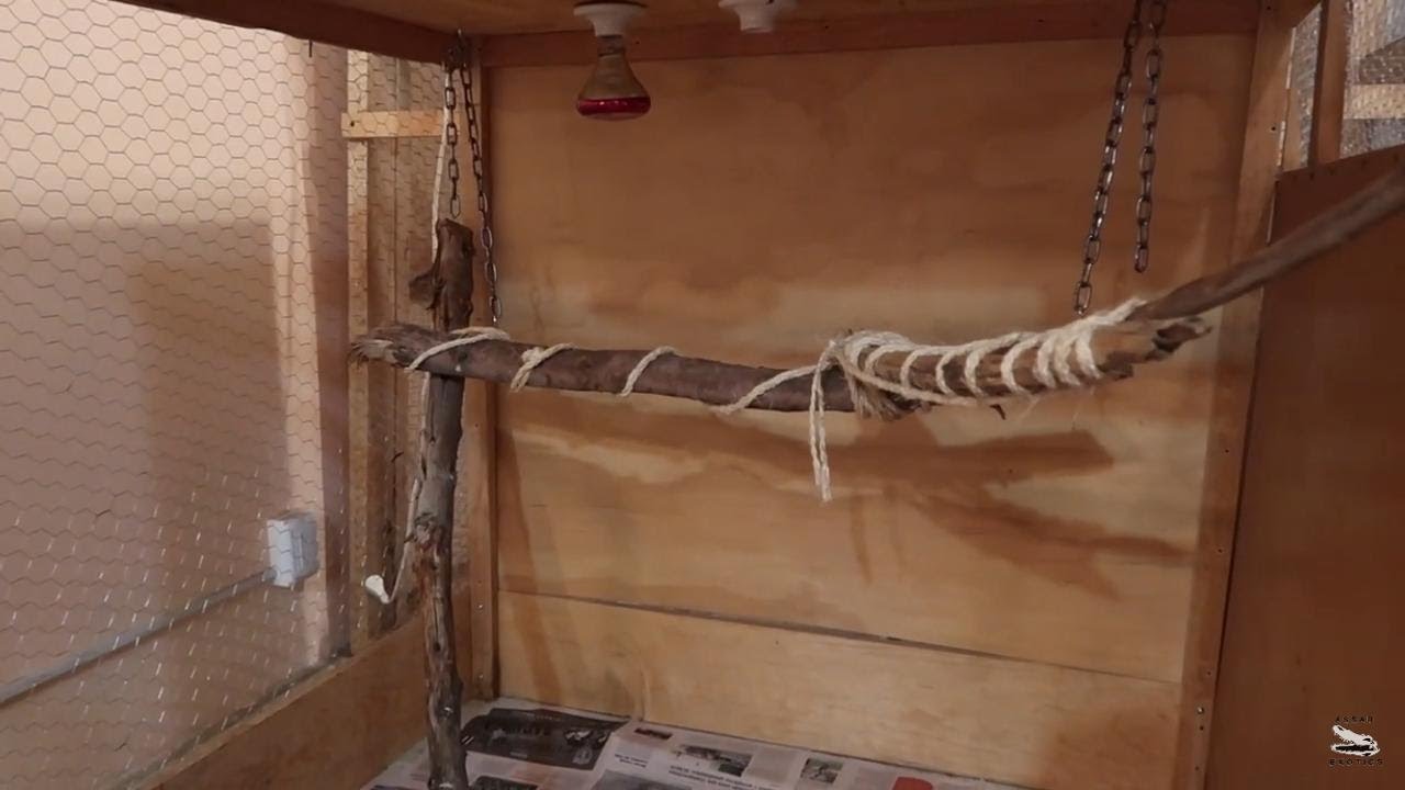 Nueva Jaula Para Mi Iguana Bubba