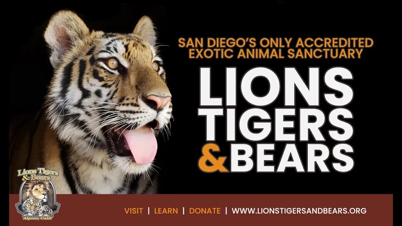 Lions Tigers & Bears Makes Every Life Count