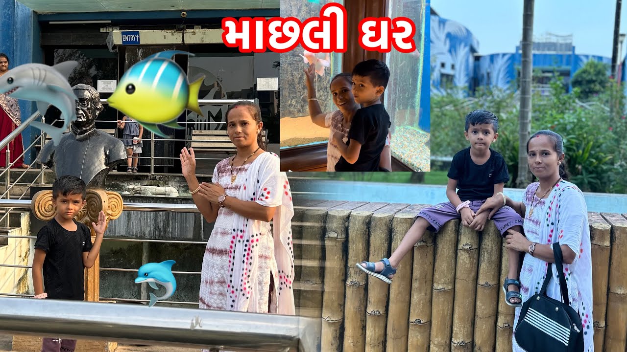 મમ્મી જો નાની મોટી કેટલી અલગ કેટલી માછલીઓ🐬 #Fishaquariumsurat #shortsfeed #youtubeshorts