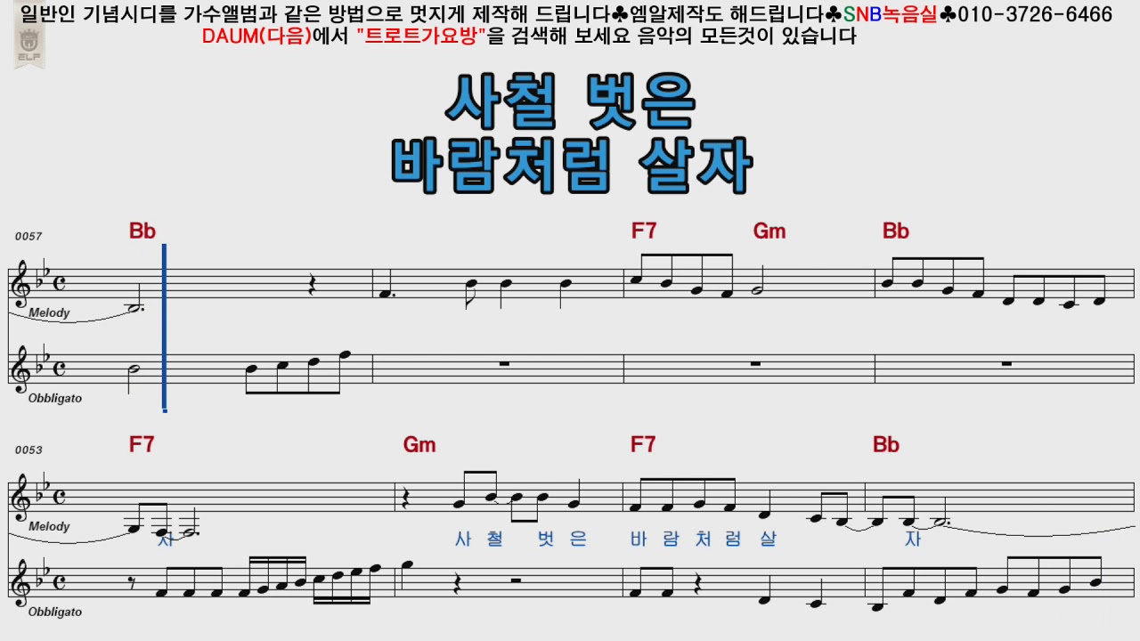 더나은 세월강