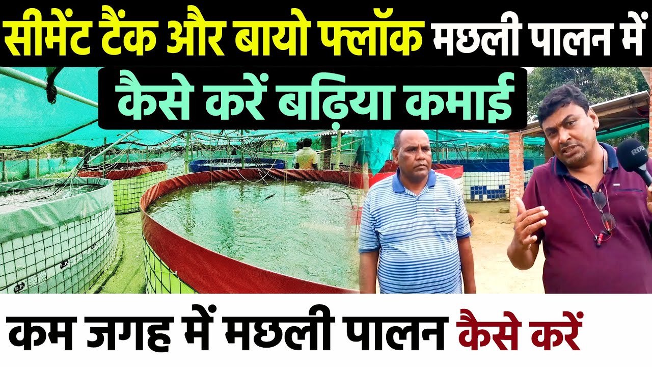 Cement Tank और Biofloc Fish Farming में कैसे और कितना कमाई कर सकते है जानिए UP