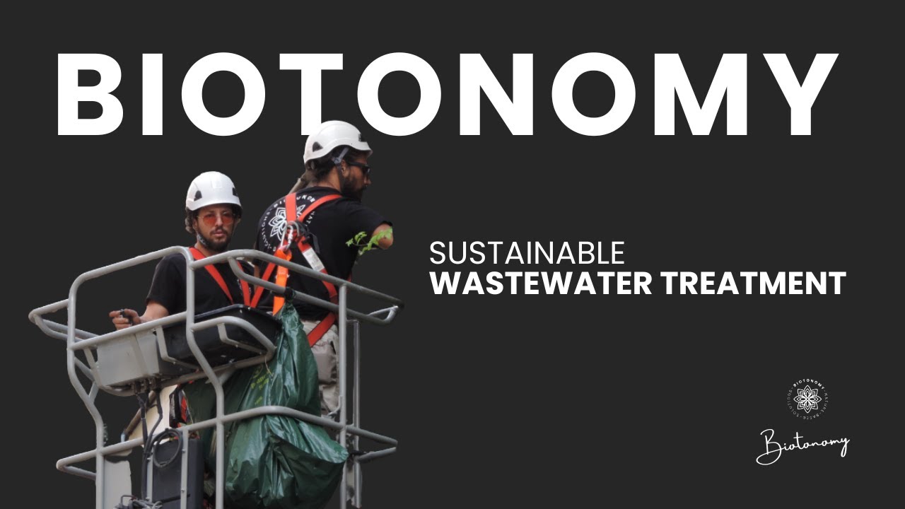 Sustainable Wastewater Treatment &ndash; How to Reuse & Purify Water Naturally