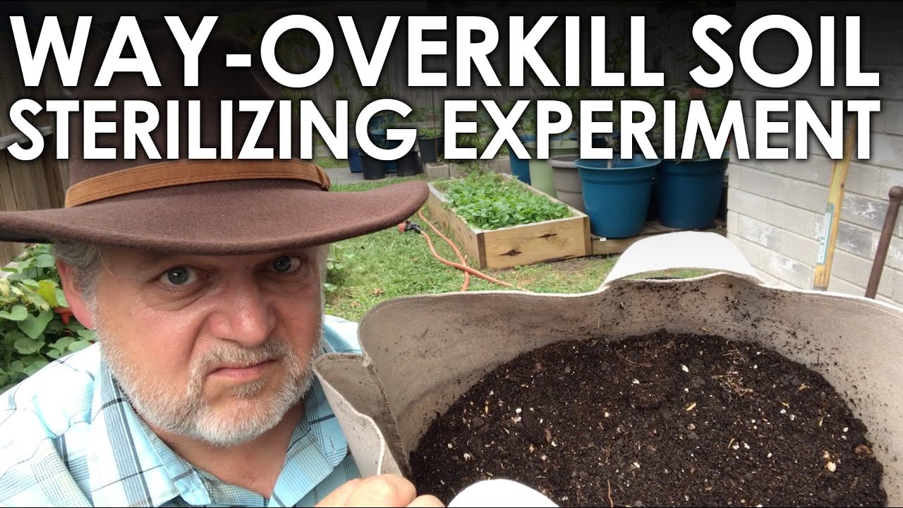 The Way-Overkill Soil Sterilizing Experiment || Black Gumbo