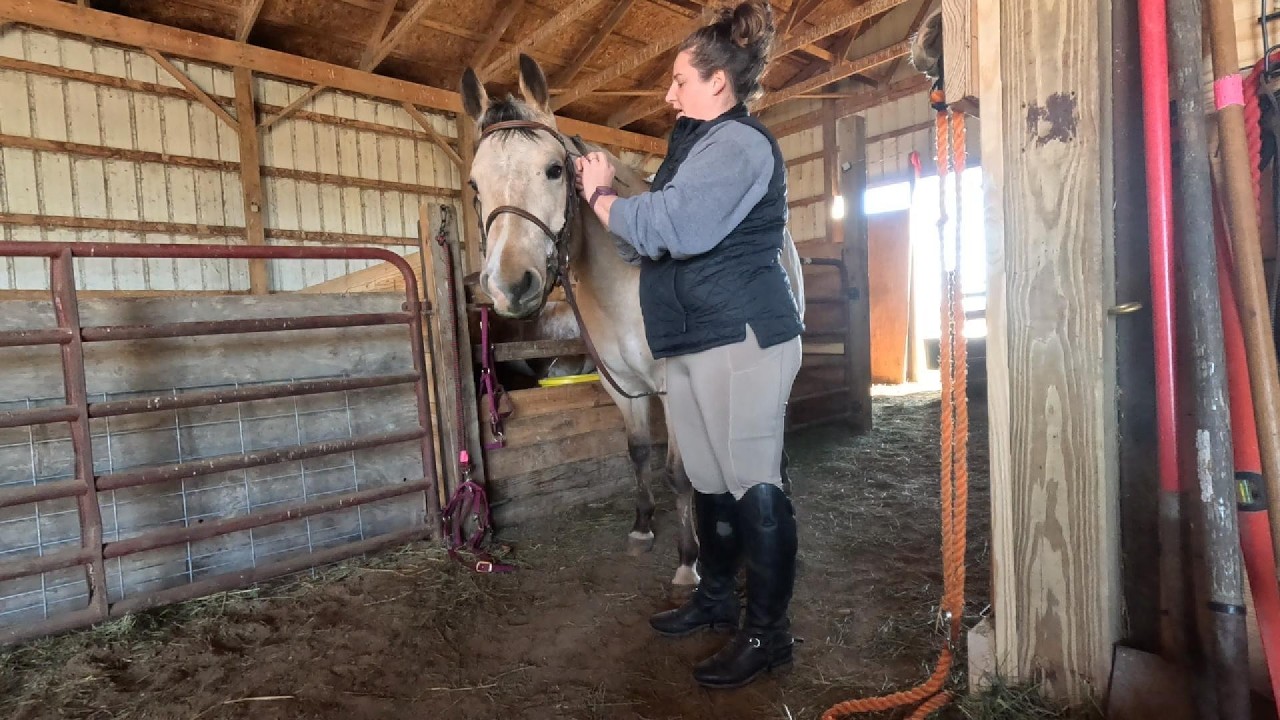 Riding Taz Huntseat