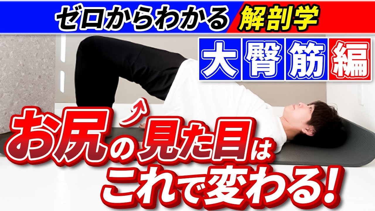ゼロからわかる解剖学【大臀筋編】お尻の見た目はこれで変わる！