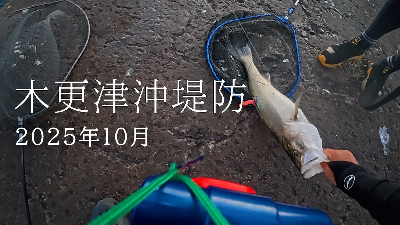 2025年10月上旬の木更津沖堤防。シーバスとキス釣り