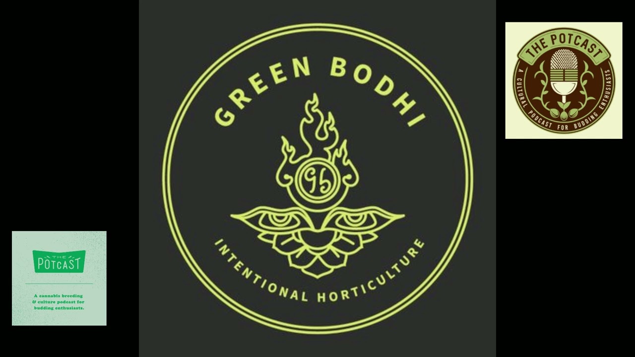 Эпизод 55 при участии Джона из Green Bodhi - The Pot Cast - 12/04/21