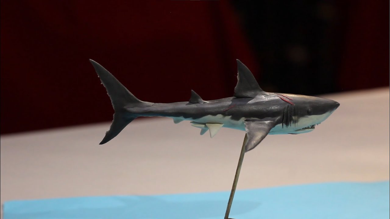 Cómo hacer un tiburón blanco de plastilina | Tutorial