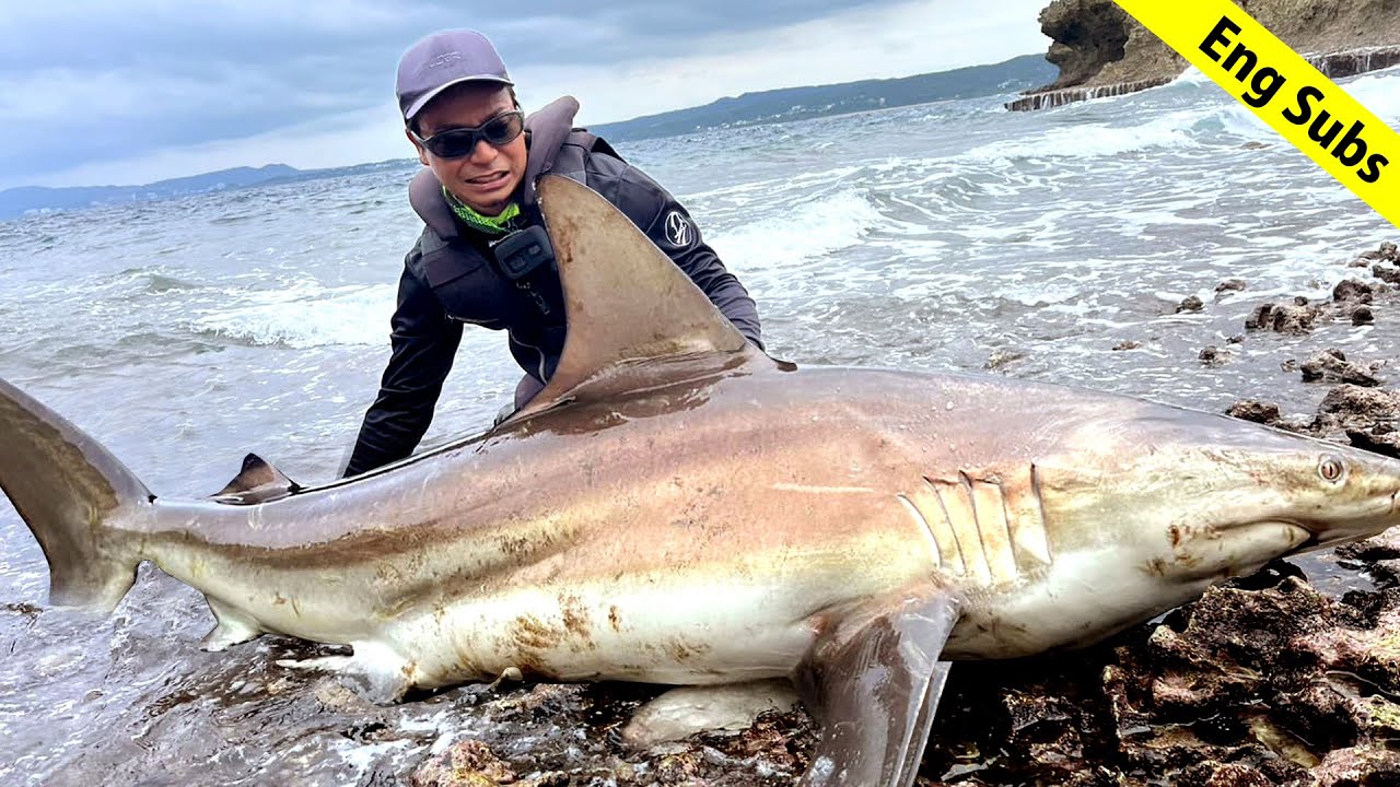 100kg越え！超危険な磯で超巨大なサメと死闘！Caught Giant Shark on Rocky Shore