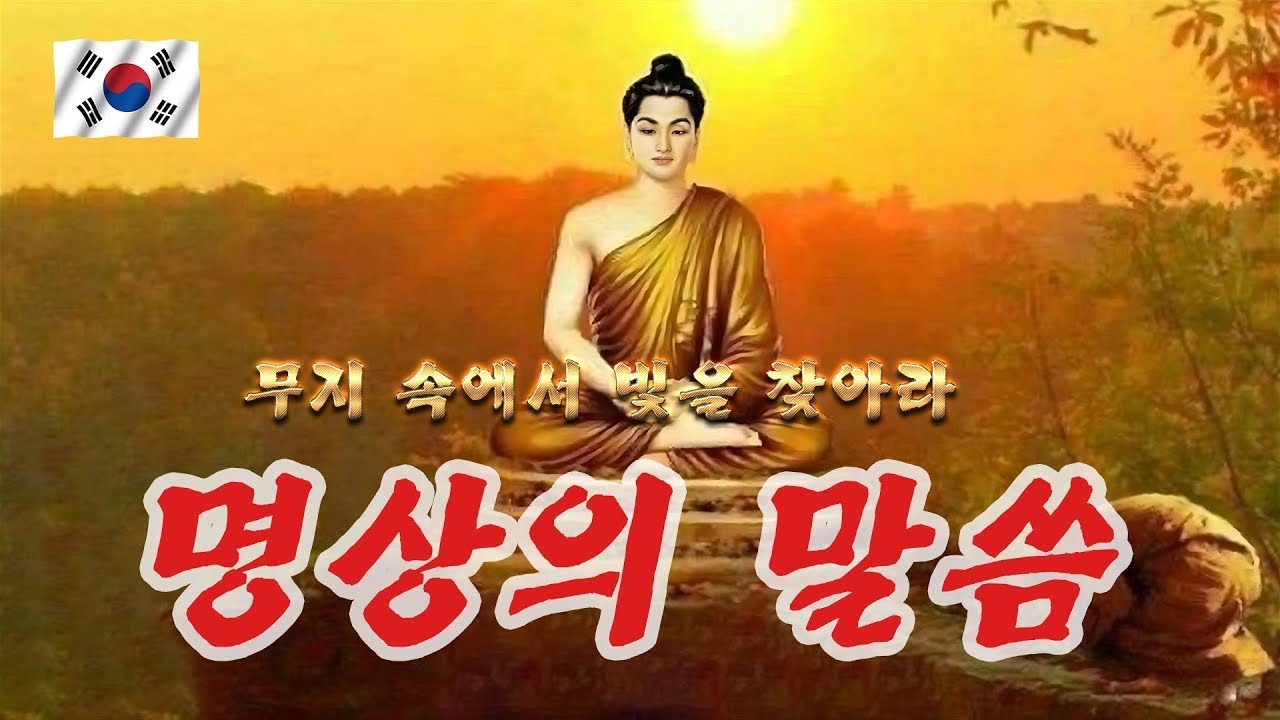하루 한번만 들어라 🕯️🕯️ 내 삶을 바꾸는 명상의 시간 🕯️🕯️ 대사 엄주환