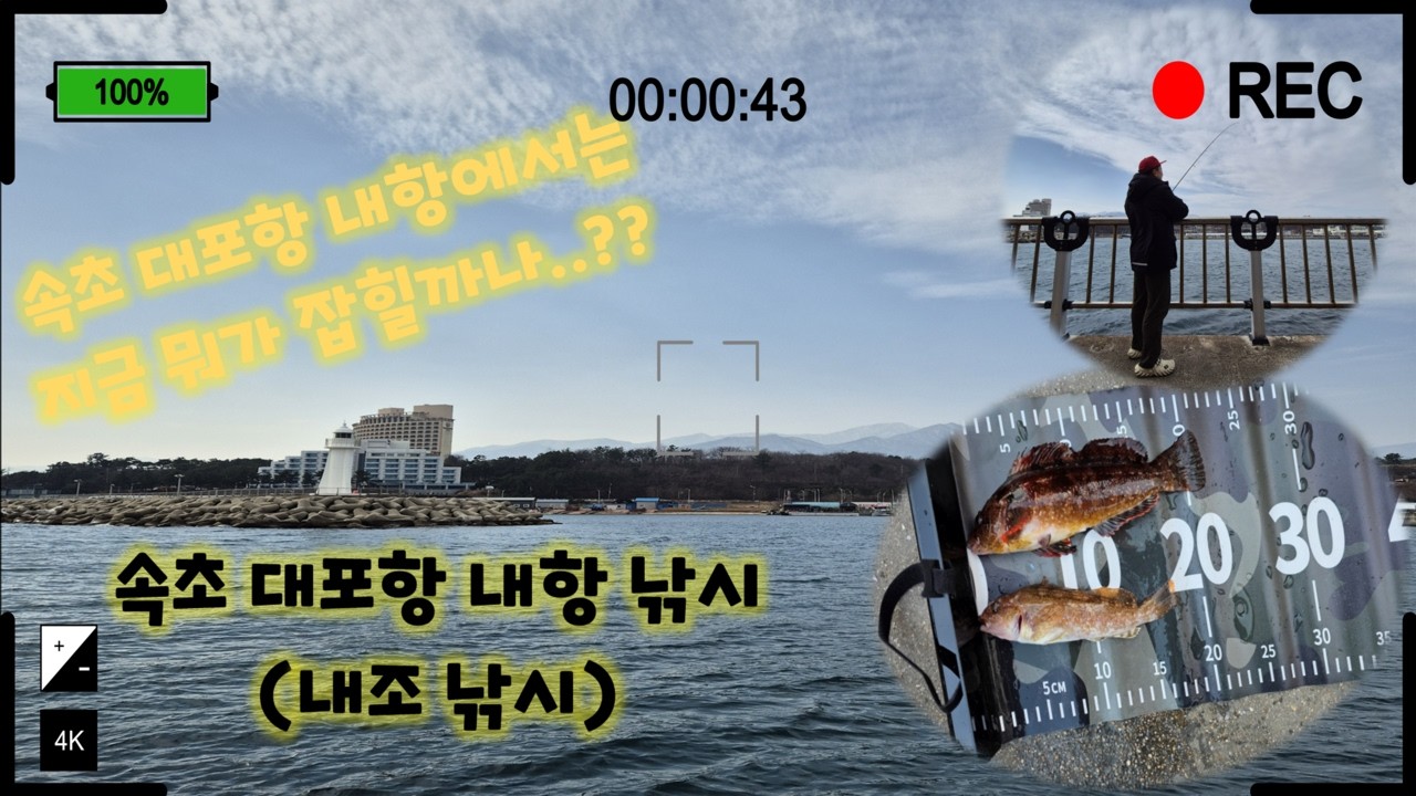 [속초 대포항 - 2026년 2월 21일] 진정한 내조 낚시 나 대신 즐겨줘~~