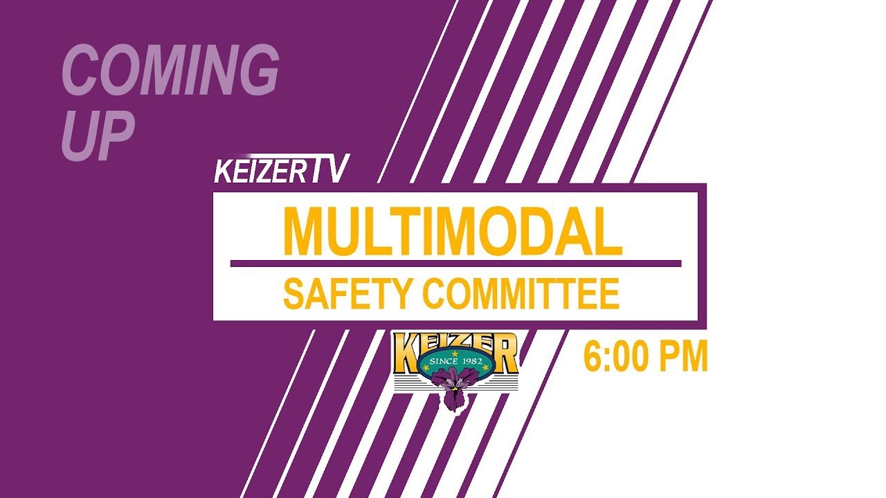 Multimodal Safety Committee 1/15/2025