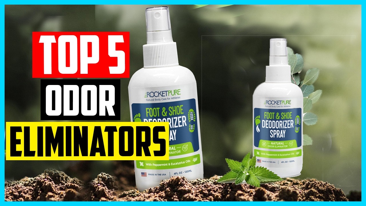 Top 5 Best Odor Eliminators 2026