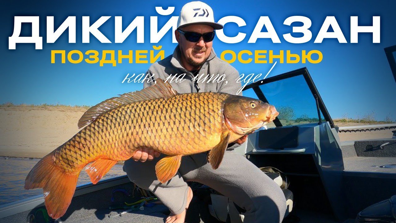 Ловим дикого САЗАНА поздней ОСЕНЬЮ с лодки!!!