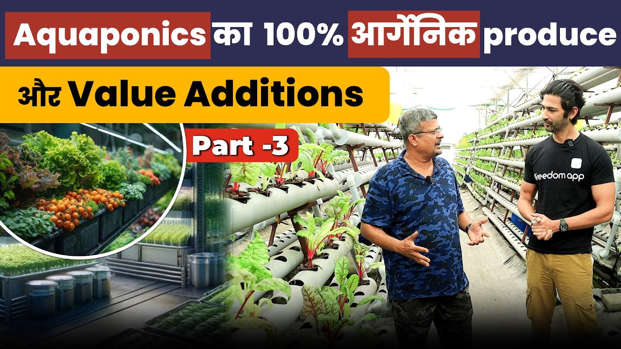 Aquaponics खेती के 100% Organic Produce की बढ़ती Demand | Aquaponics Farming Part - 3