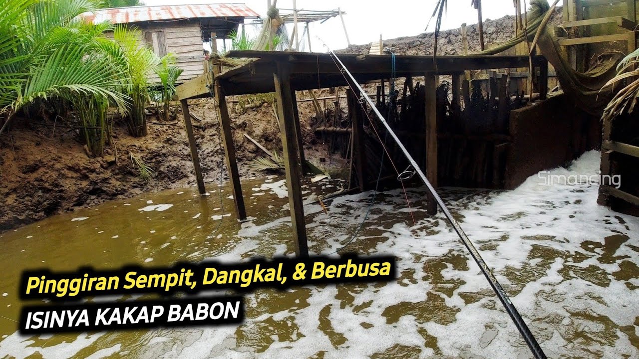 Coba Bermacam Cara, Ternyata MJ Besarnya Ada Disini !! Mancing Ikan Kakap di Muara Sungai