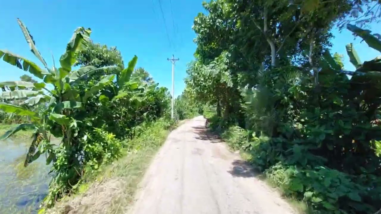 গ্রাম বাংলার রাস্তা ‌। Gram Banglar Rasta ।Copyright Free Village Music । SHUVRO DEBNATH ।