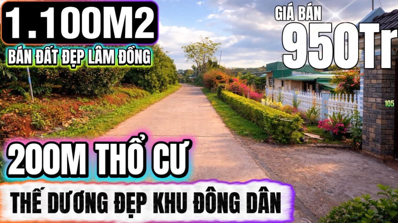 🔴Bán đất đẹp lâm đồng gần 1200m2 thế dương phẳng 200m thổ cư khu dân ở đông Lh 0379 590 939