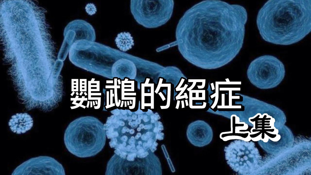 【屈原之天下鳥事】令人聞風喪膽的鸚鵡絕症(上集)!你必須知道這些You must know these terrifying parrot cancers!