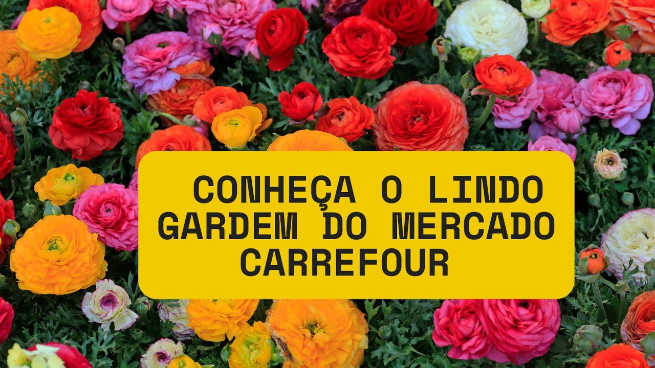 LINDAS PLANTAS NO GARDEN DO MERCADO CARREFOUR