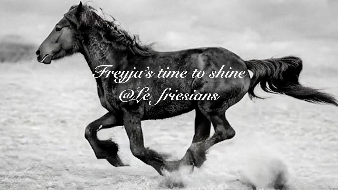 Freyja at 17 Months Old  Powerful Year Ahead  Year of the Horse Energy  Pure Spirit & Life exciting