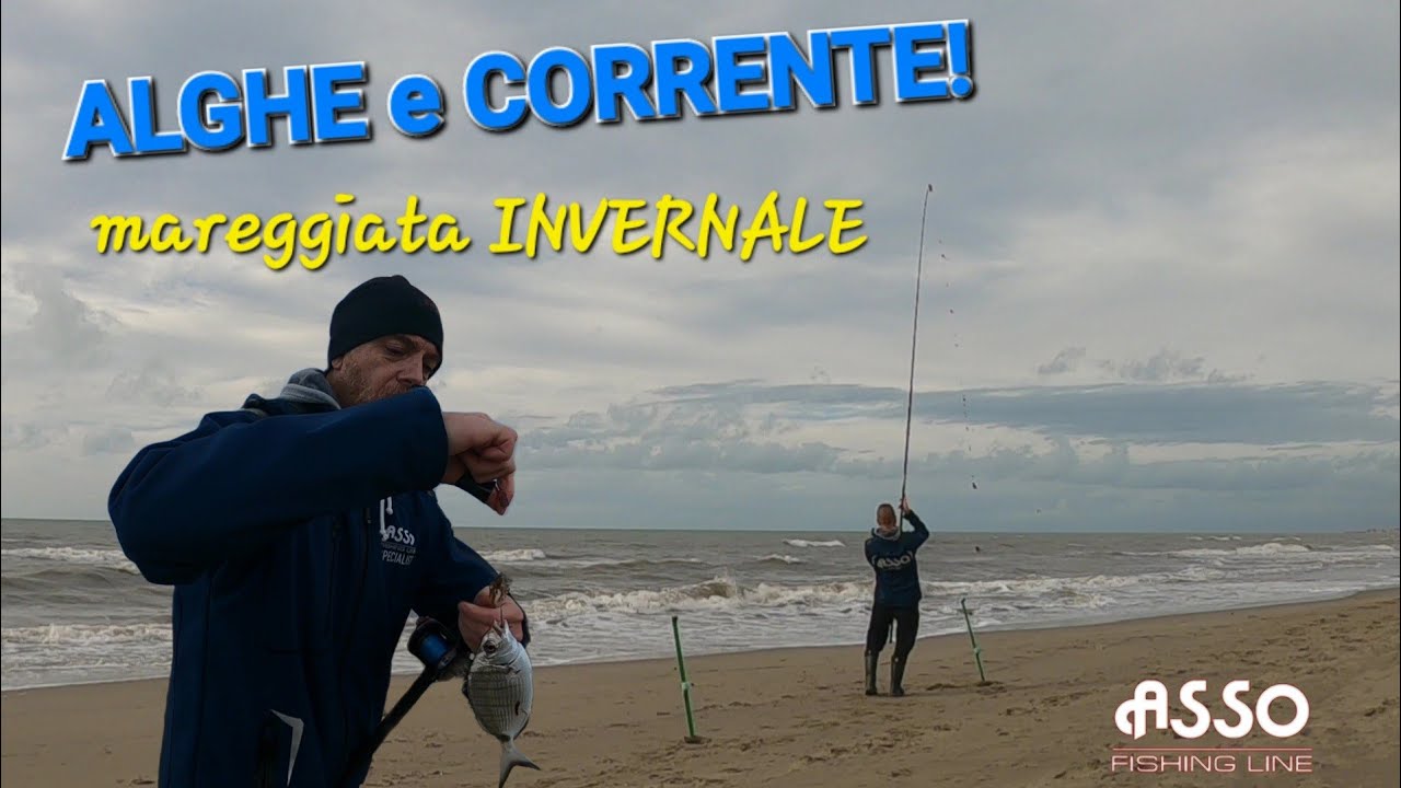 Surfcasting Invernale: Alghe e Mare in SCADUTA!