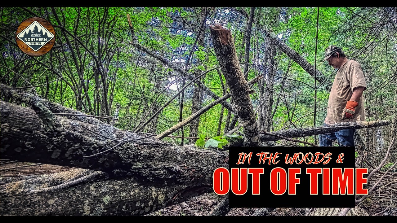 Can We Get Enough Firewood Before Winter Hits? (Husqvarna Chainsawing, Splitting & Surprises!)