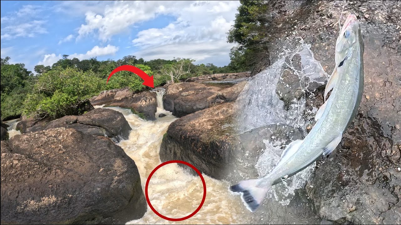 Amigos de la Pesca cap 55:  PESCANDO en el RAUDAL del RIO CAFRE, en BUSQUEDA de sus FAMOSAS PAYARAS!