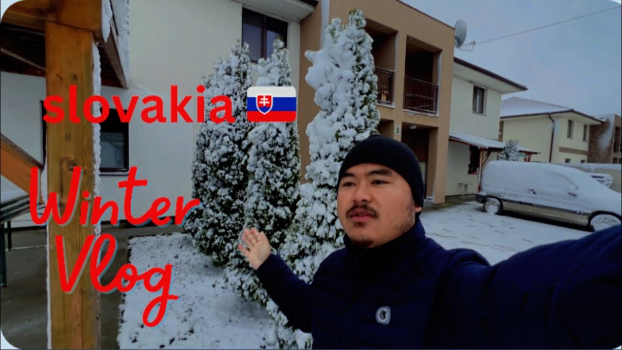 Winter starting now in Slovakia 🇸🇰 🤗🌨️☁️#travelvlog #slovakia #wintervlog @BRMAGAR4 