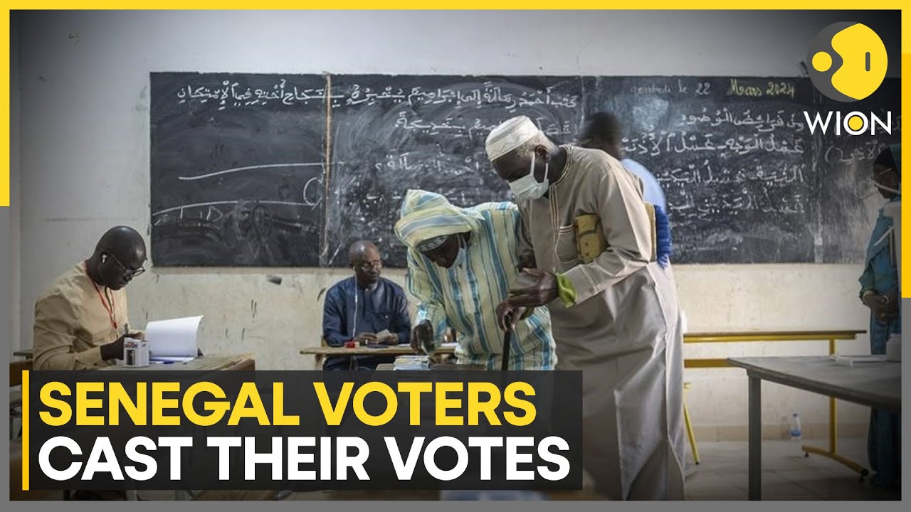 Senegal votes for its next president | Latest English News | WION