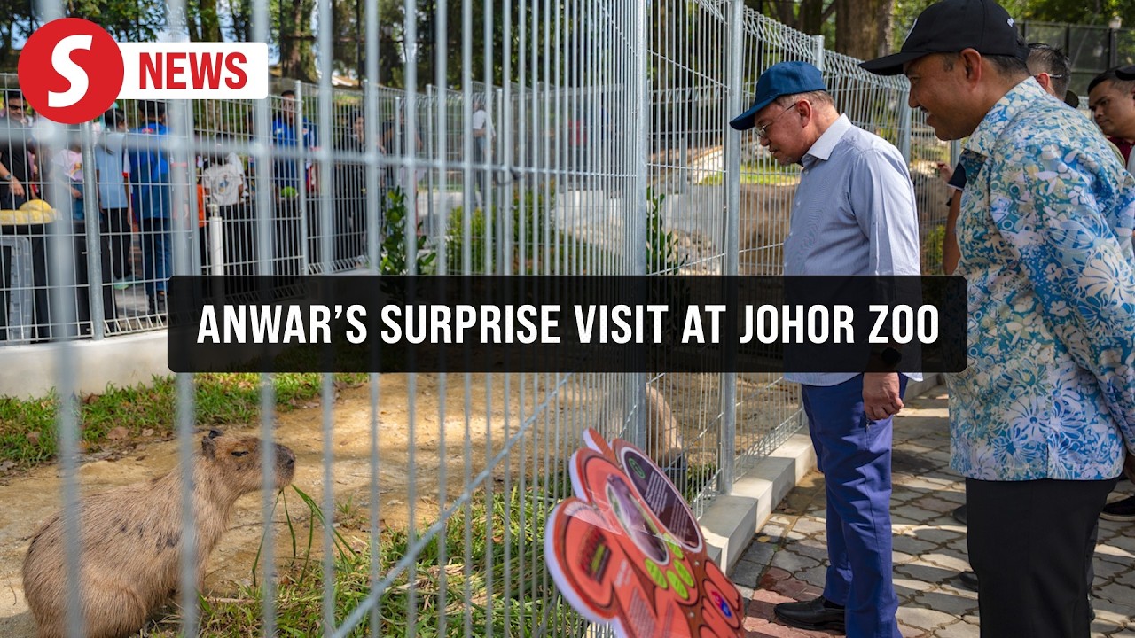 Anwar makes surprise family visit to historic Johor Zoo