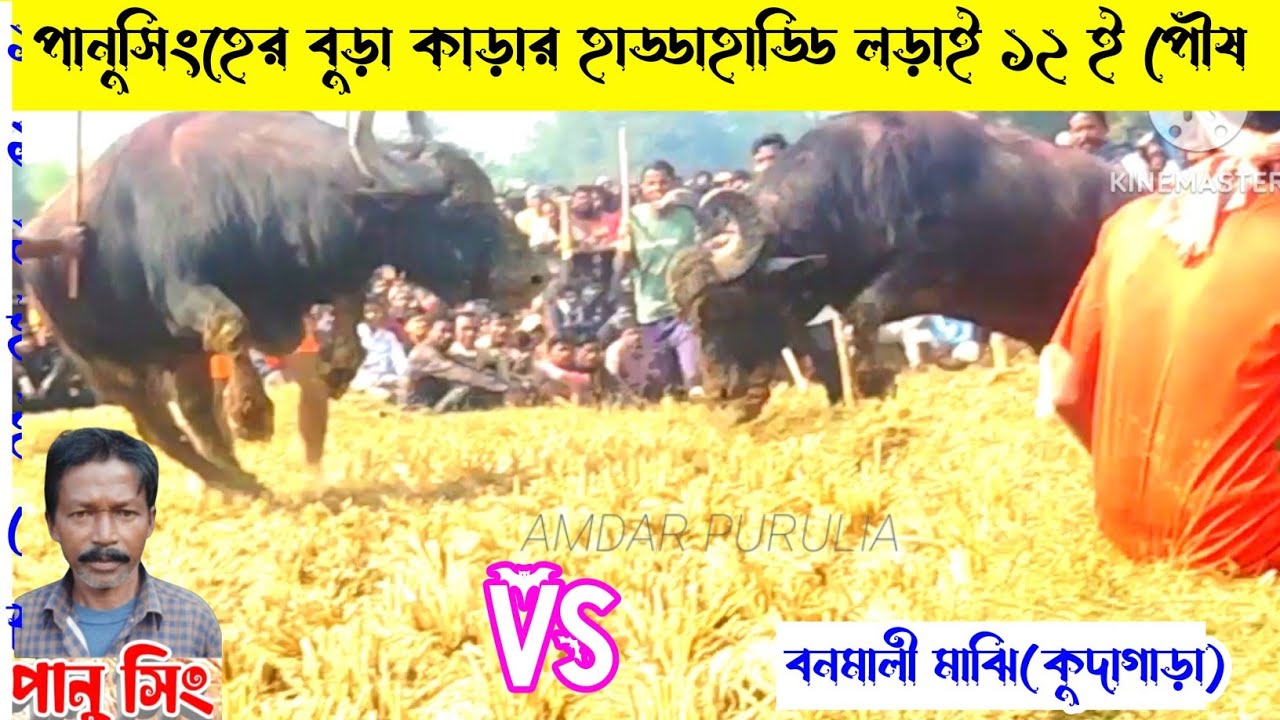 পানুসিংহের বুড়া কা*ড়ার হাড্ডাহাড্ডি লড়াই ১২ ই পৌষ (পানুসিং VS বনমালী মাঝি কুদাগাড়া)ধারগাঁ আসরে 👈