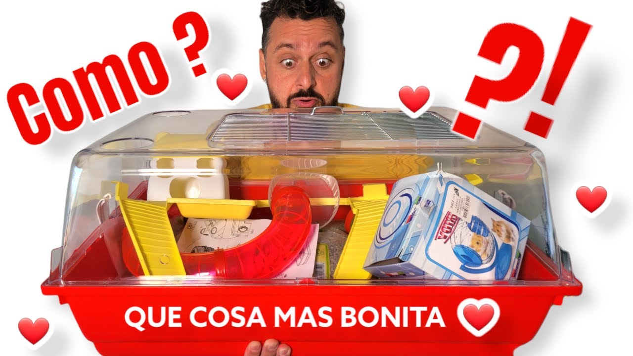 lo que me faltaba ya,  UN HÁMSTER !!