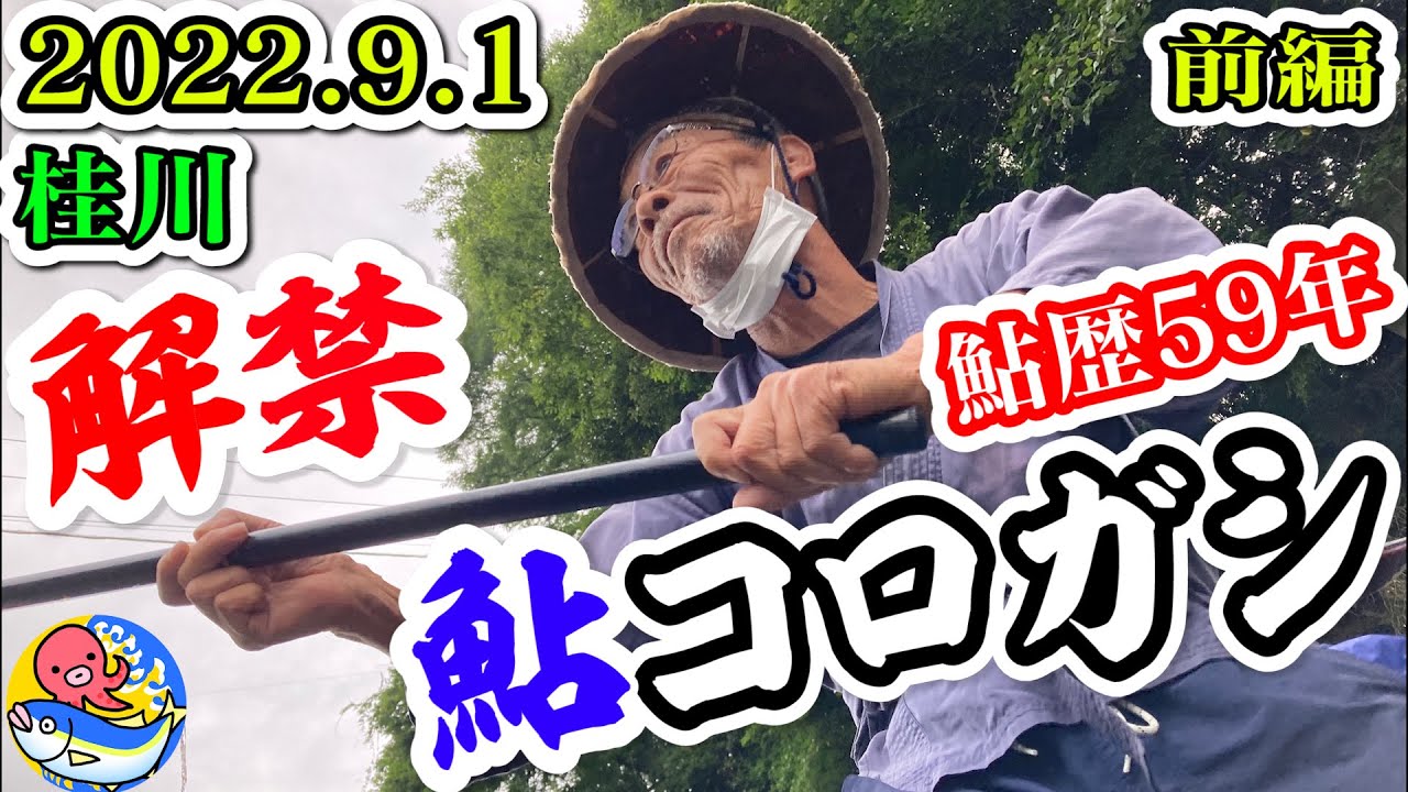 【鮎歴59年】コロガシ2022解禁前編【2022.9.1桂川】今年も斧窪さん登場”コロガシ“＆”サクリ”の秘策!!