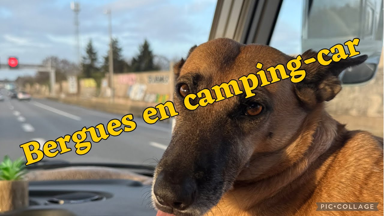 203 On arrive à Bergues en camping-car 🚐 | Soirée au calme & réveil douceur