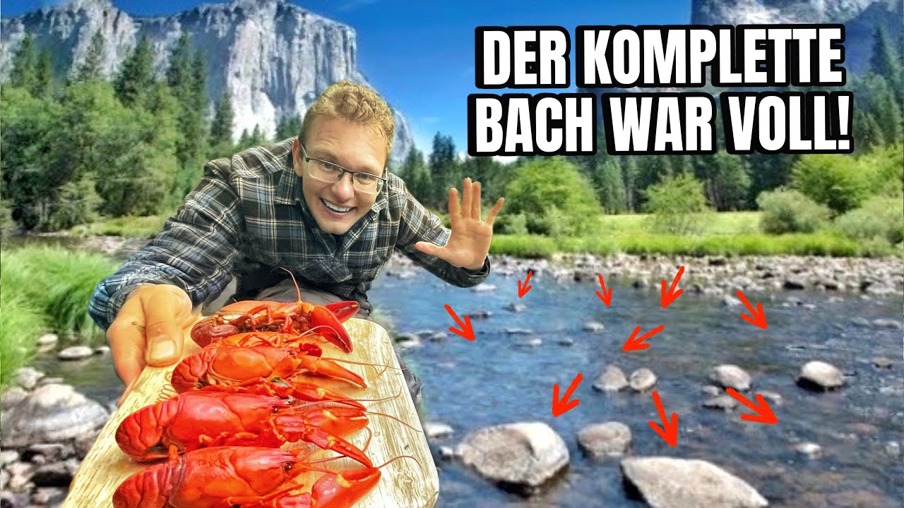 CHALLENGE: Alle KREBSE aus dem Bach FANGEN, SCHLACHTEN und AUFESSEN!