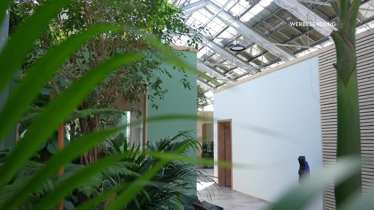 Büro mal anders: DPS zieht ins Gewächshaus – neue Arbeitswelt in Straubing