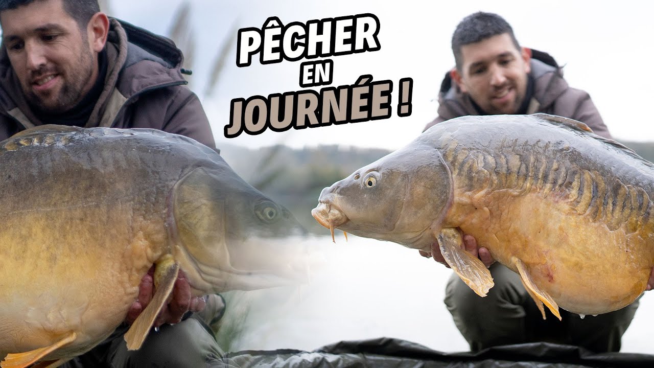 Comment CIBLER les GROS POISSONS juste sur UNE pêche de journée ? Avec Cédric DUCERE