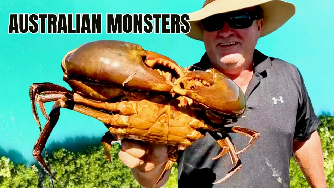 Australia’s Biggest Crabs? This Hidden Gem Delivered More Than We Expected 🦀