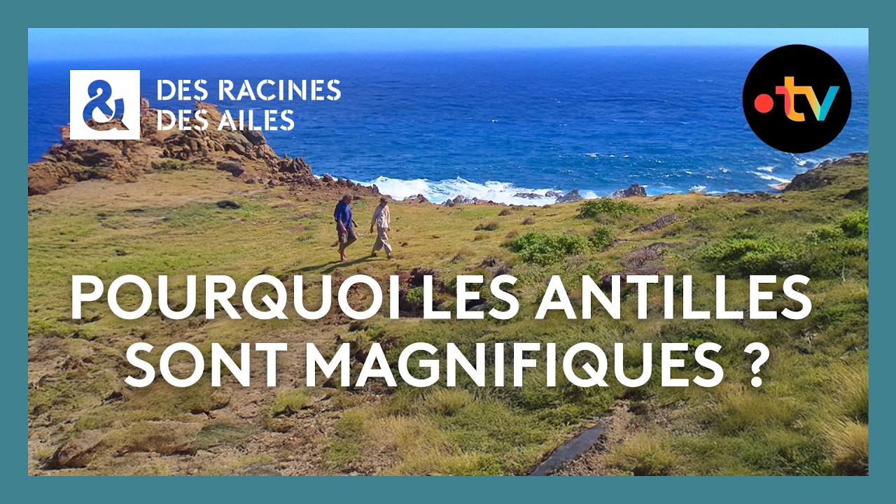 Pourquoi les Antilles sont magnifiques ? - Des racines et des ailes