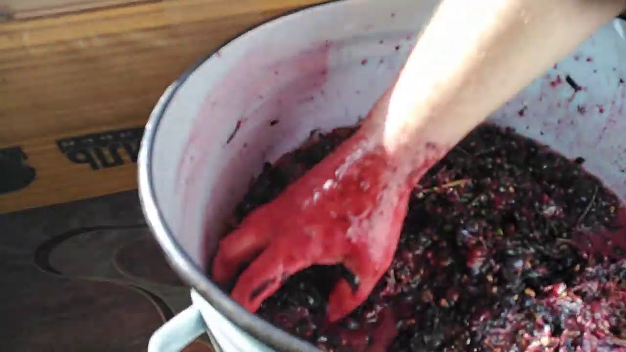 Вино из винограда 